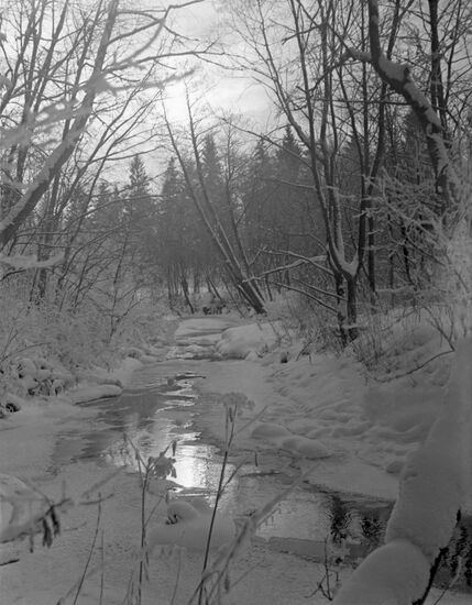 Spring in Moscow Region