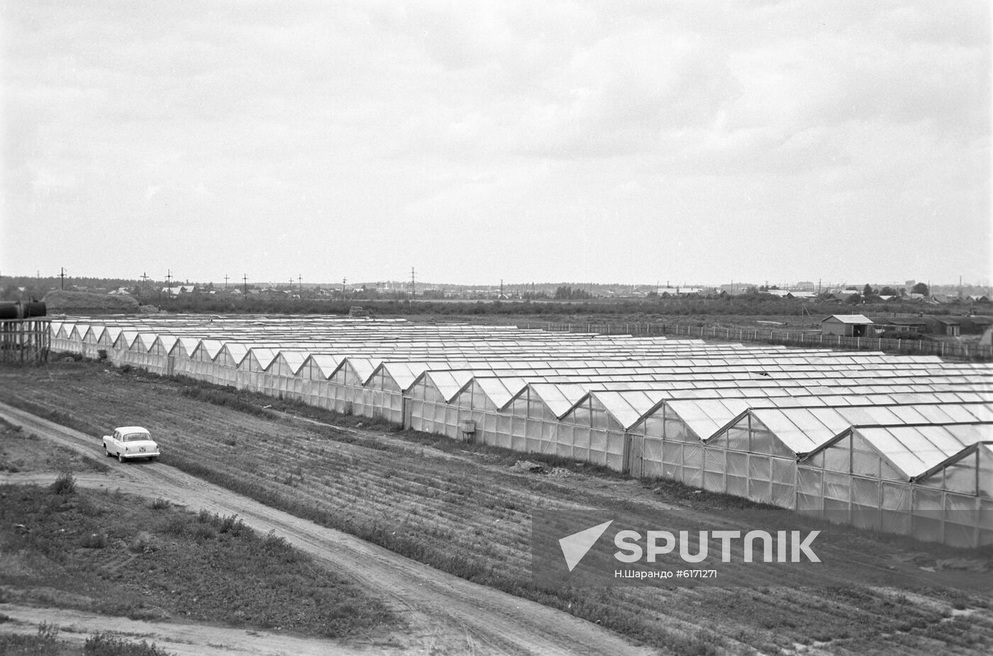 Noginsky state farm in Moscow Region.