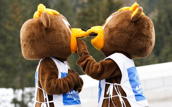Italy Biathlon Worlds Men Individual
