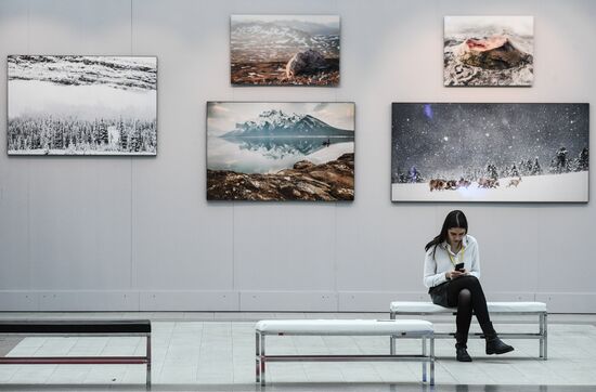Russia Contemporary Art Fair