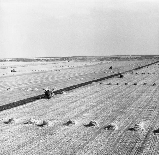 Harvesting grain crops in Krasnodar Territory