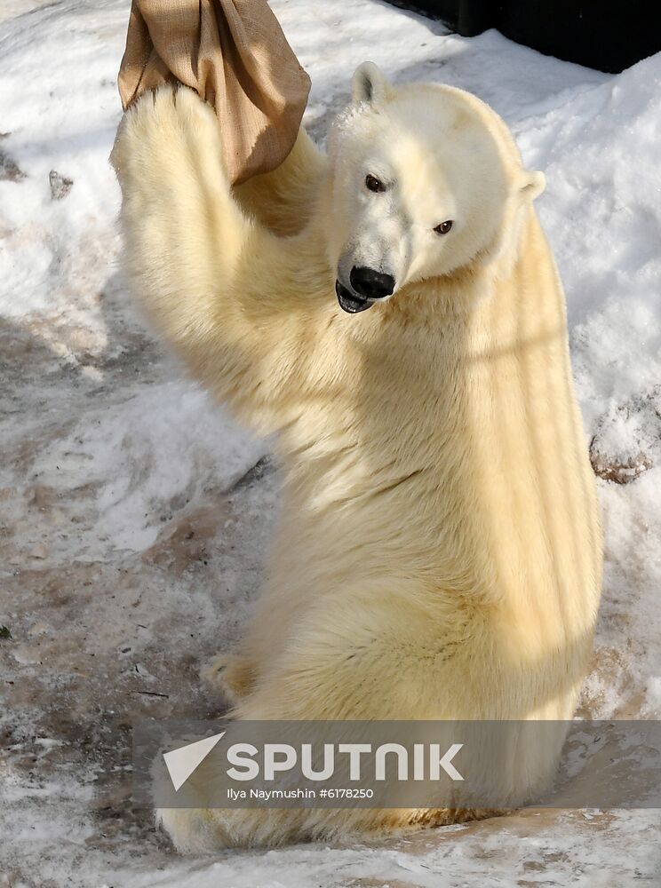 Russia Zoo