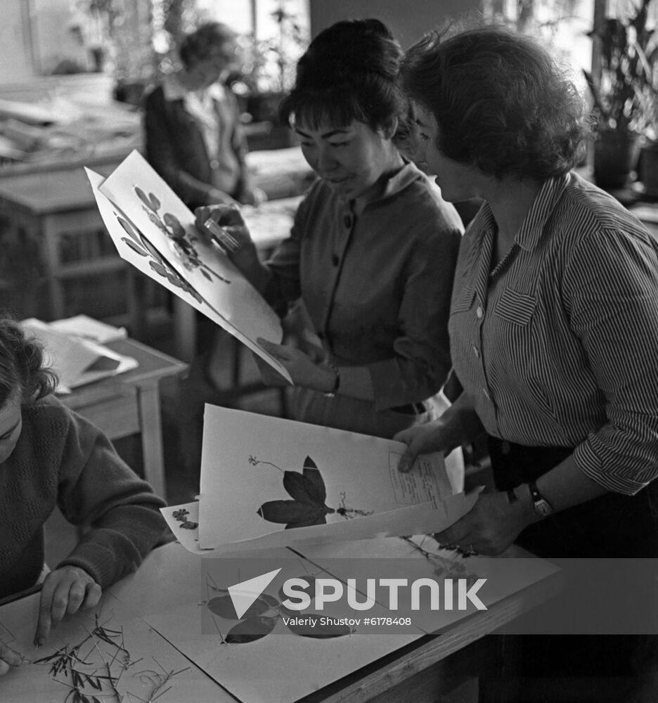 School of of Industrial and Applied Arts in Yuzhno-Sakhalinsk