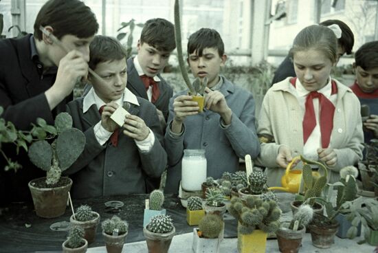 Moscow Palace of Young Pioneers and School Students on Lenin Hills