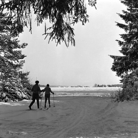 Winter outside Moscow