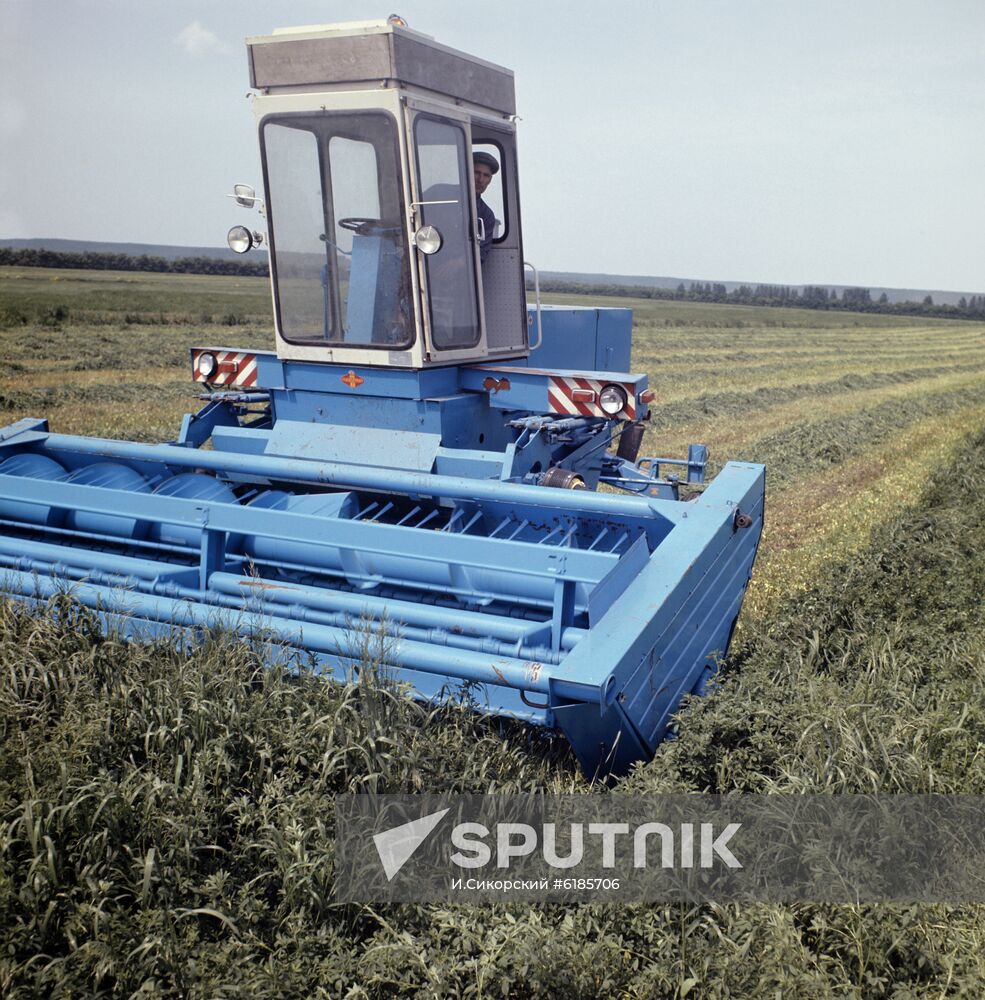 Rossiya state farm in Penza Region