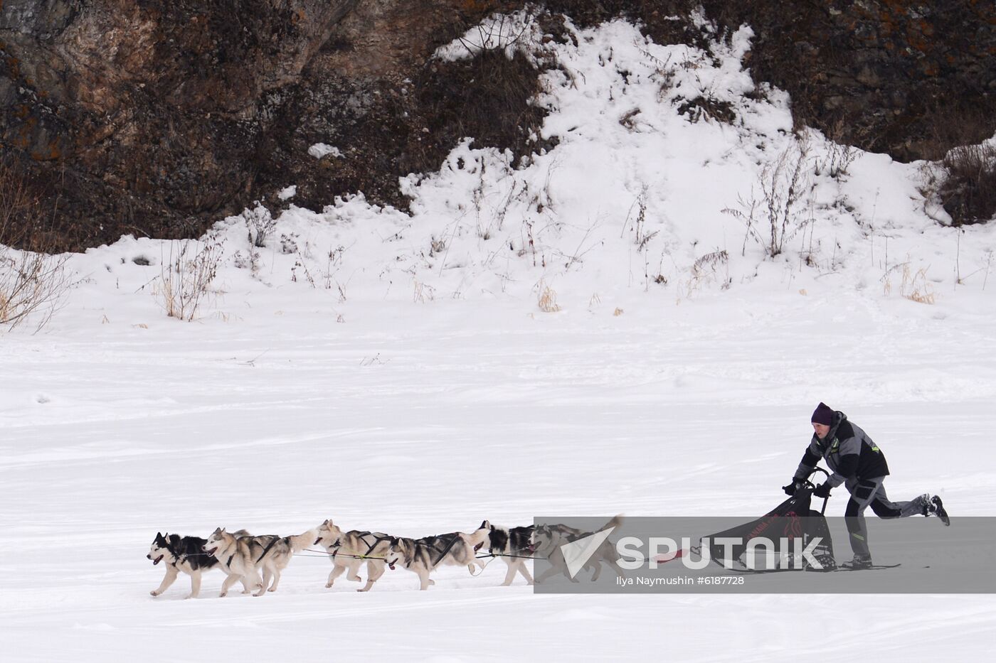 Russia Sled Dog Race