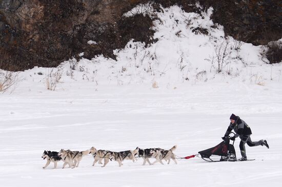 Russia Sled Dog Race