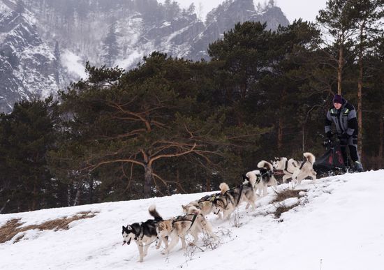Russia Sled Dog Race