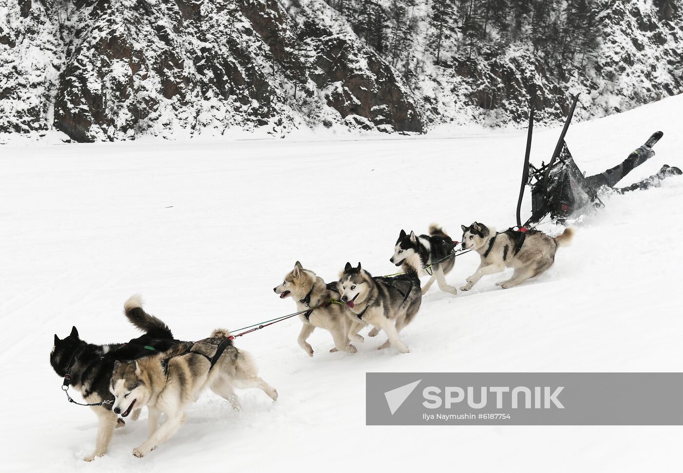 Russia Sled Dog Race