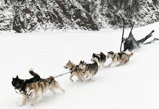 Russia Sled Dog Race