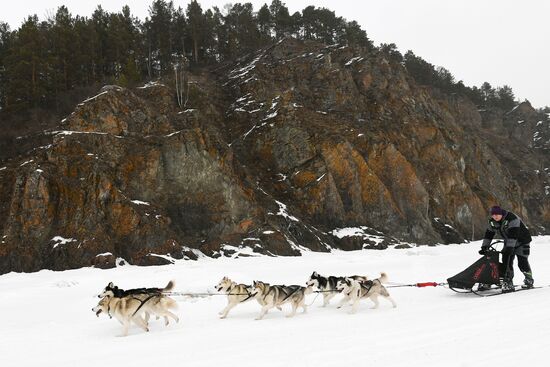 Russia Sled Dog Race