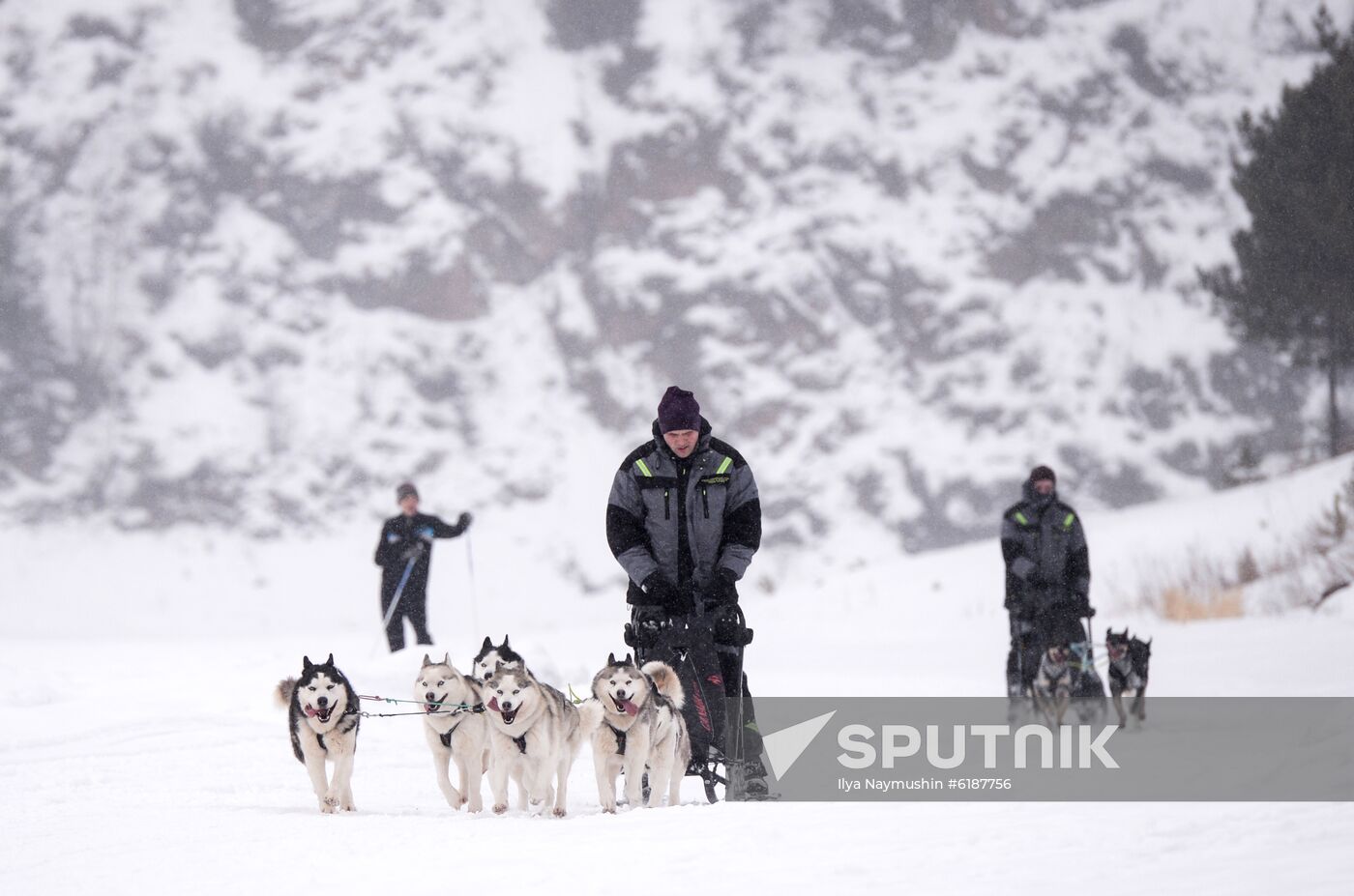 Russia Sled Dog Race