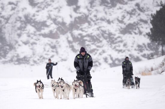 Russia Sled Dog Race