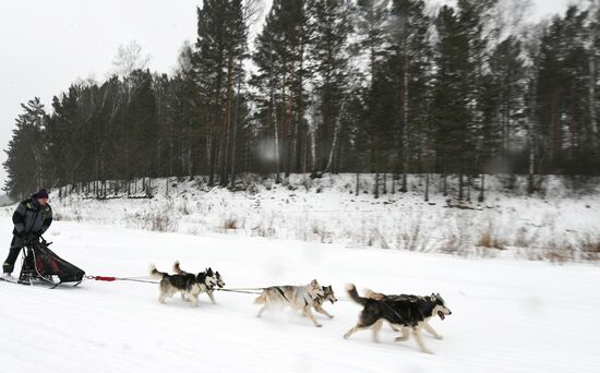 Russia Sled Dog Race