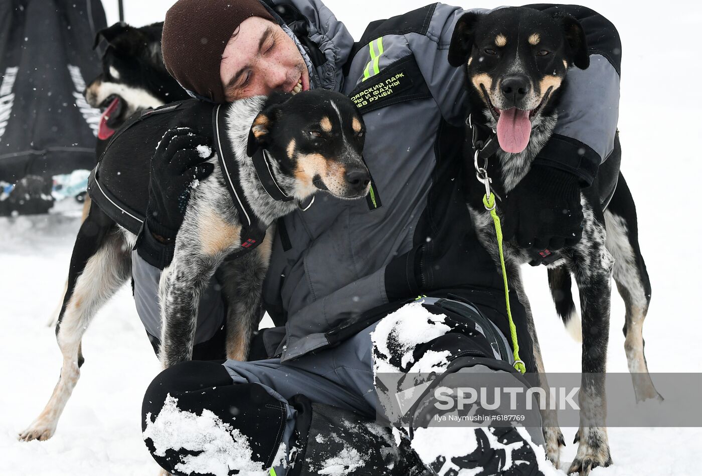 Russia Sled Dog Race