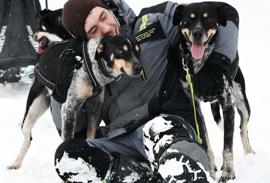 Russia Sled Dog Race