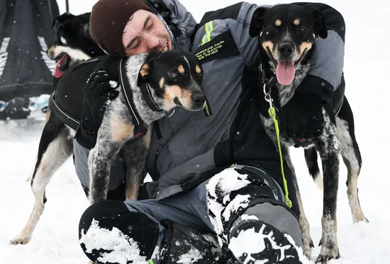 Russia Sled Dog Race