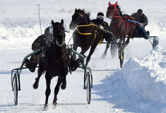 Russia Amateur Horse Race