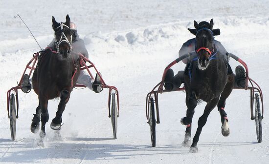 Russia Amateur Horse Race