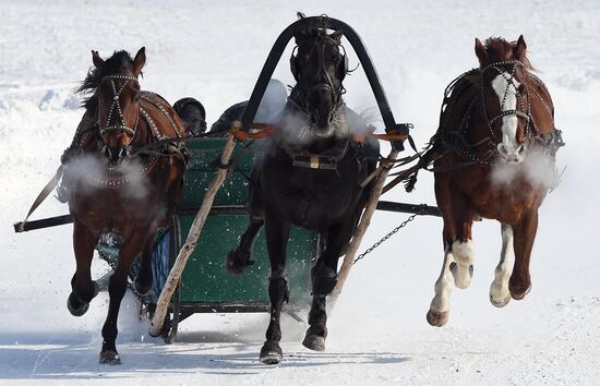 Russia Amateur Horse Race
