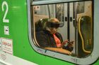 A woman wearing a protective face mask due to coronavirus (COVID-19) concerns sits in a subway car, in Warsaw, Poland. On Friday March 13 infections outside China have been reported by 125 countries. Location: Poland, Warsaw. Author: Alexey Vitvitsky/Sputnik. Poland Coronavirus