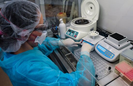 Russia Coronavirus