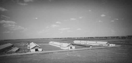 Kalinin collective farm in Krasnodar Territory