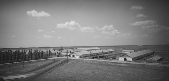 Kalinin collective farm in Krasnodar Territory