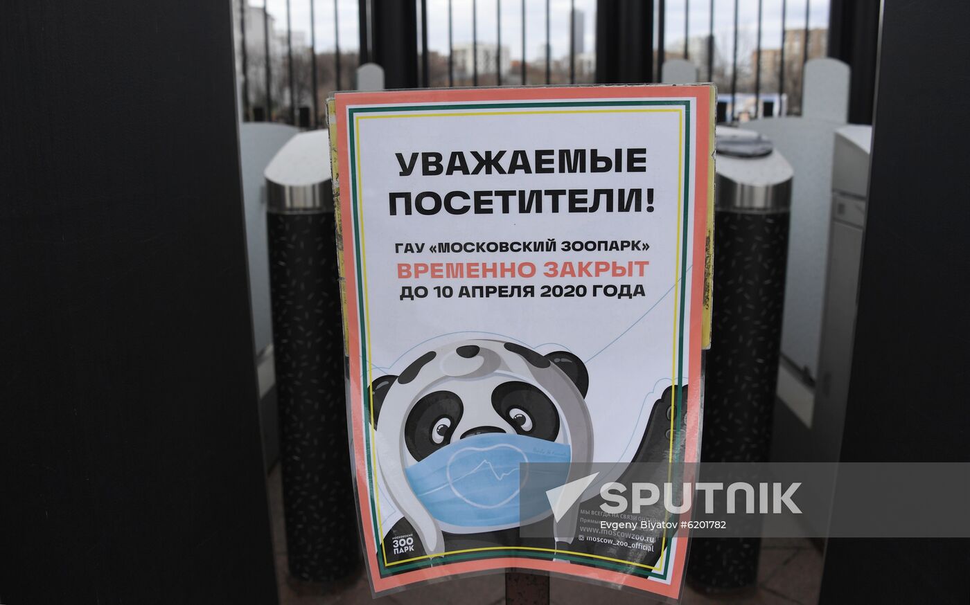 Russia Coronavirus