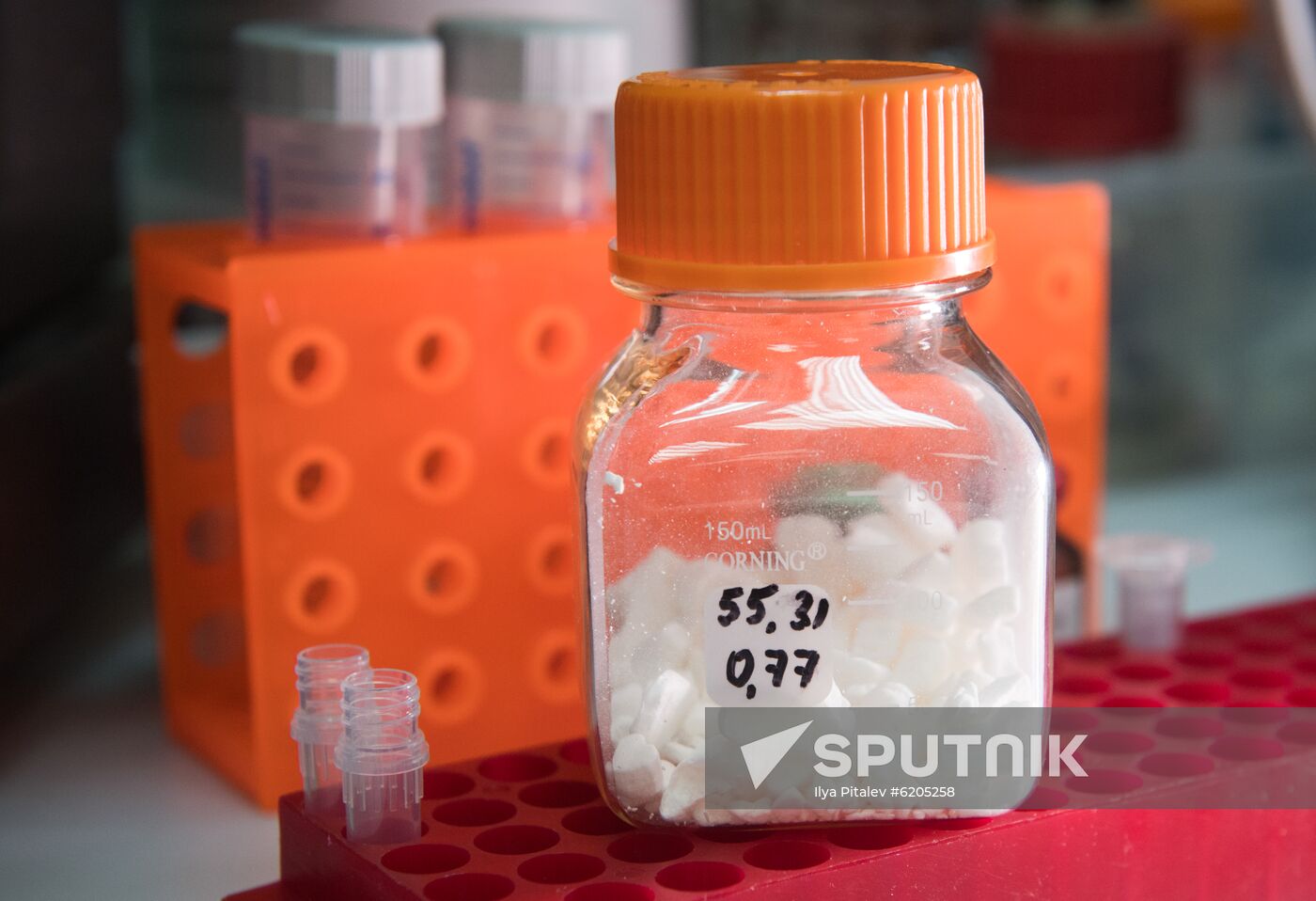 Russia Coronavirus Tests
