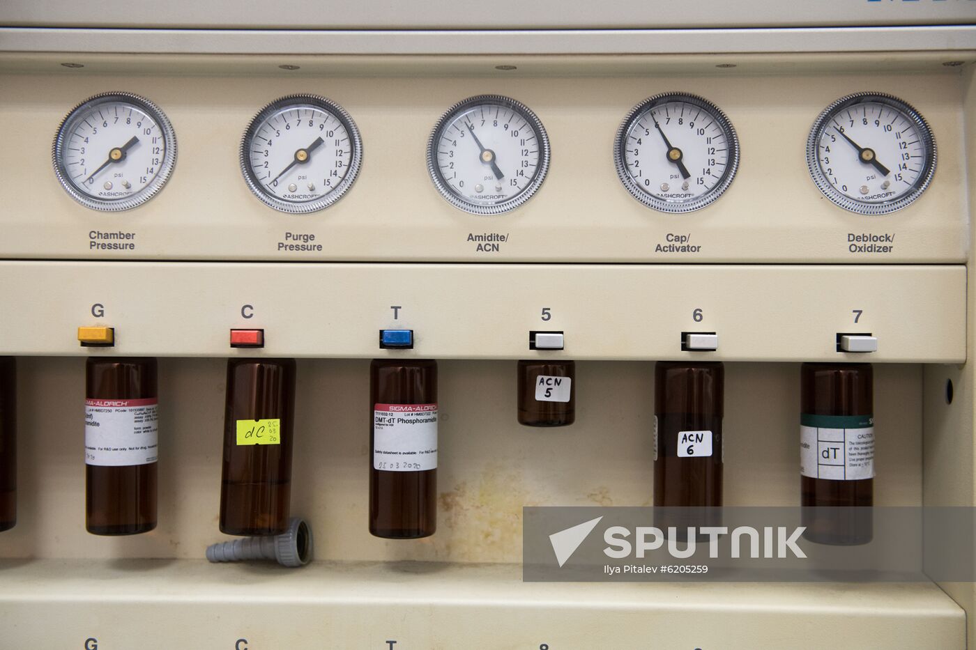 Russia Coronavirus Tests