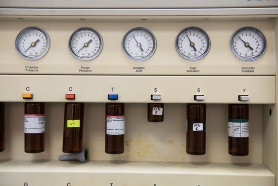 Russia Coronavirus Tests