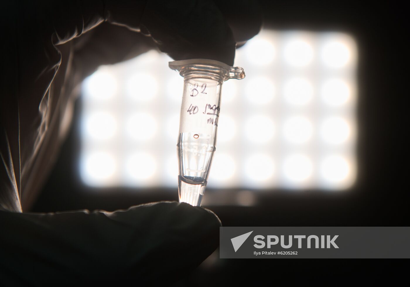 Russia Coronavirus Tests