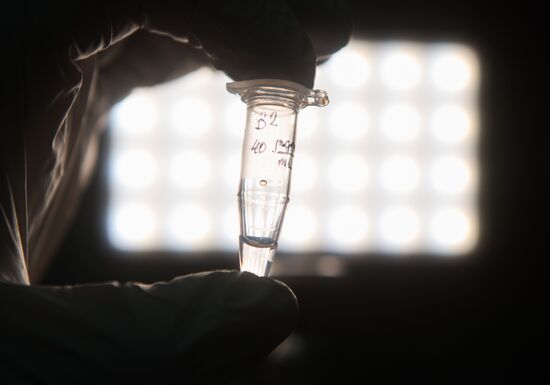 Russia Coronavirus Tests