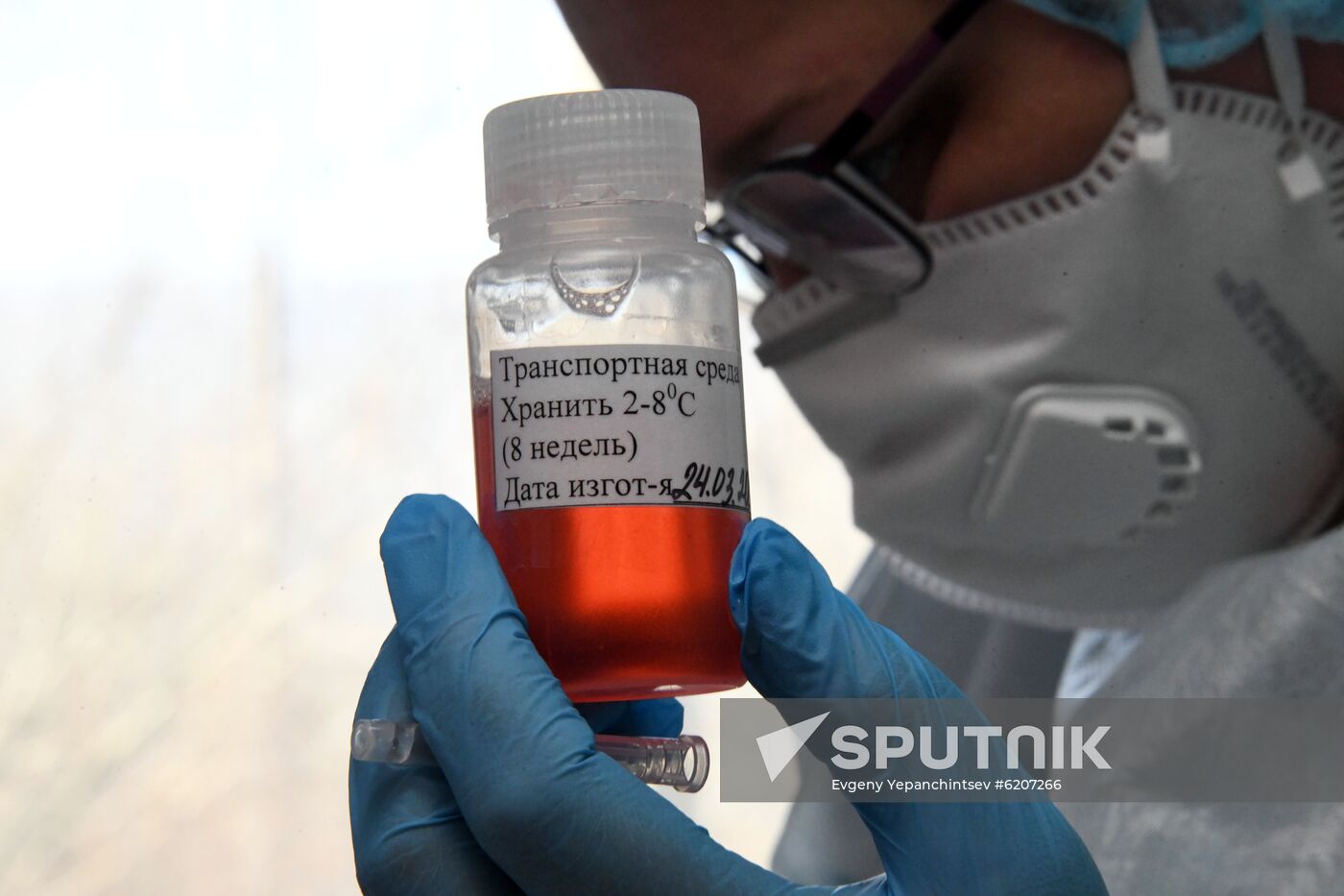 Russia Coronavirus Tests