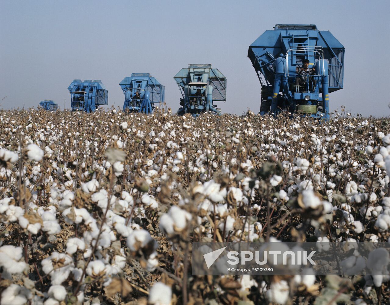 Cotton-harvesting machines