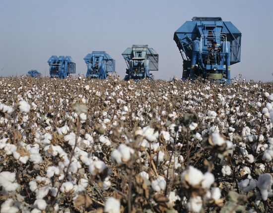 Cotton-harvesting machines