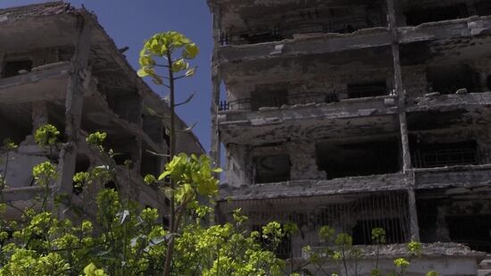 Syria Aleppo Reconstruction