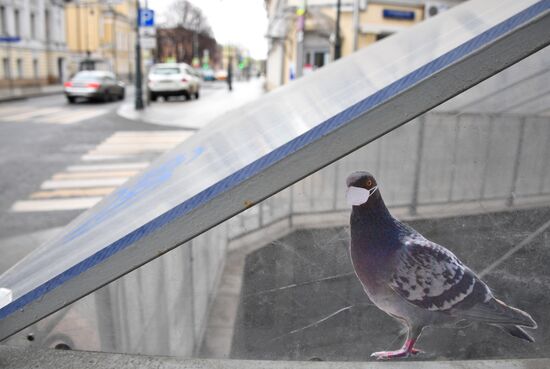 Russia Coronavirus Lockdown