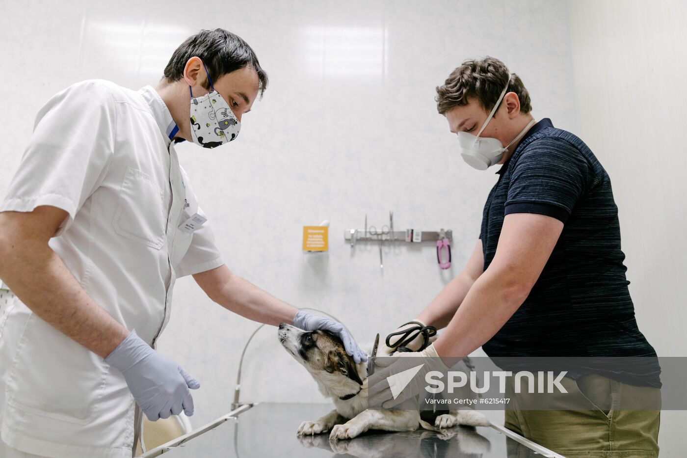 Russia Coronavirus