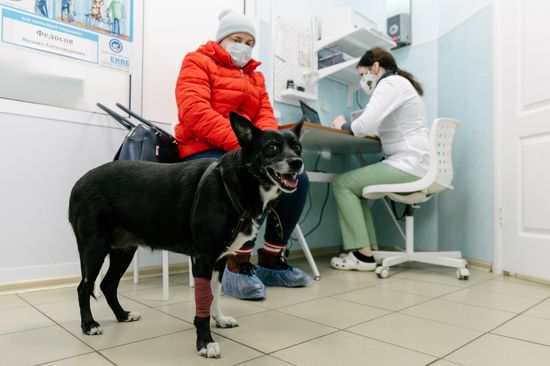 Russia Coronavirus