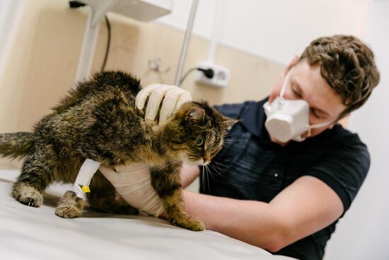 Russia Coronavirus