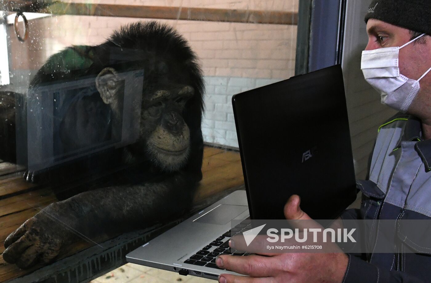 Russia Zoo