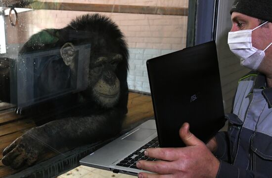 Russia Zoo