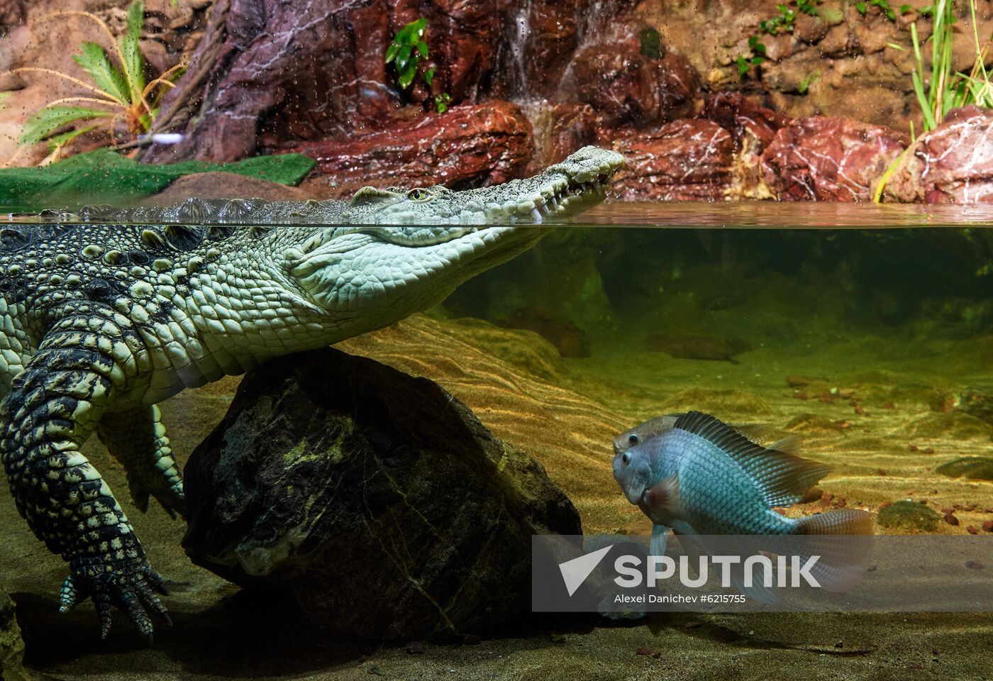 Russia Zoo