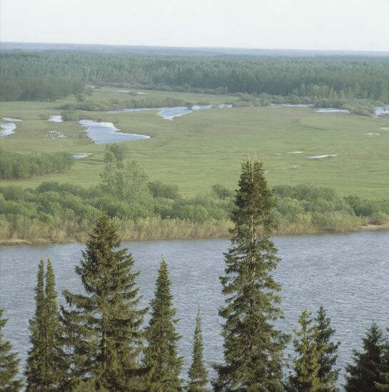 Vyatka river