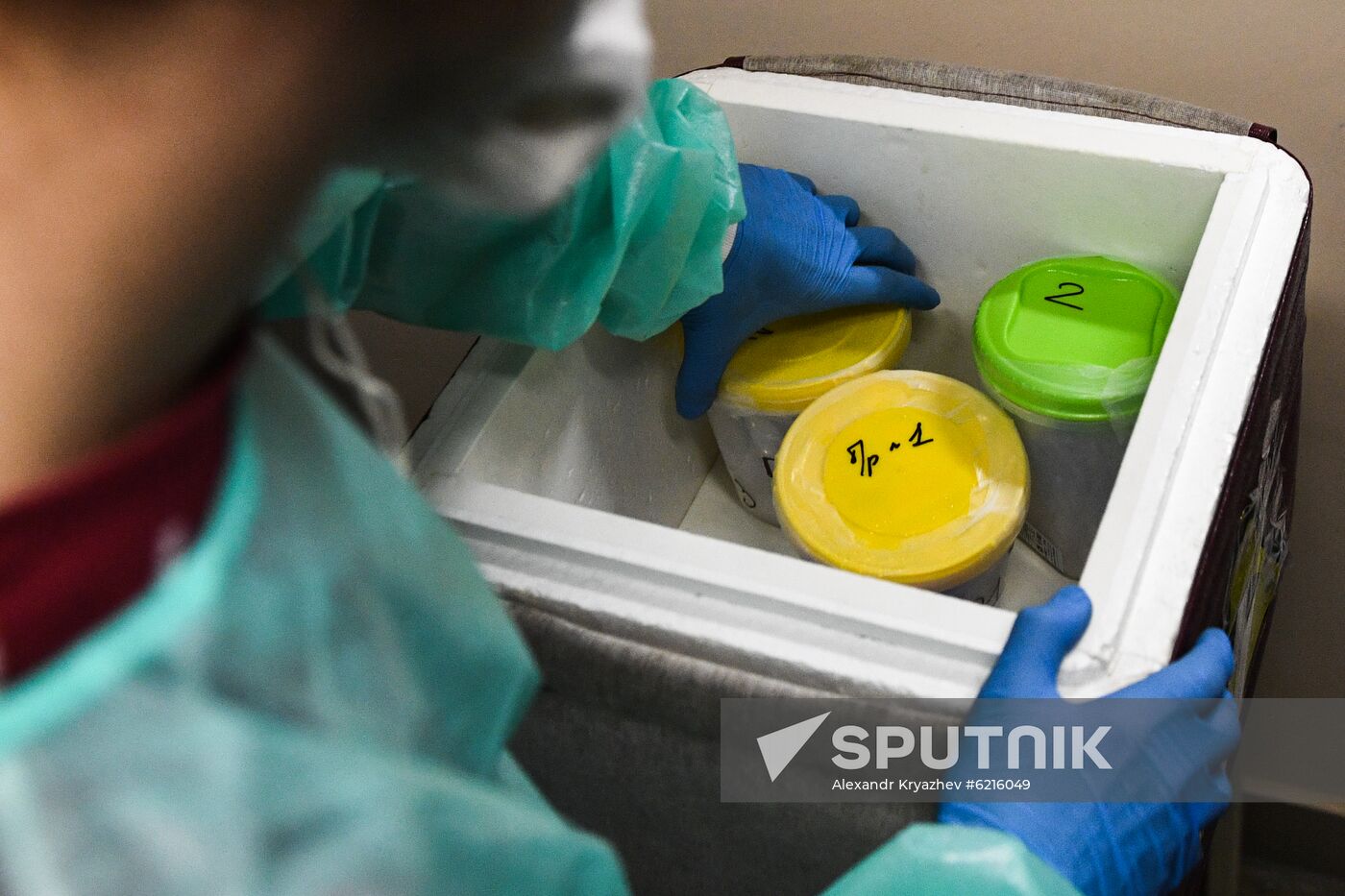 Russia Coronavirus Tests