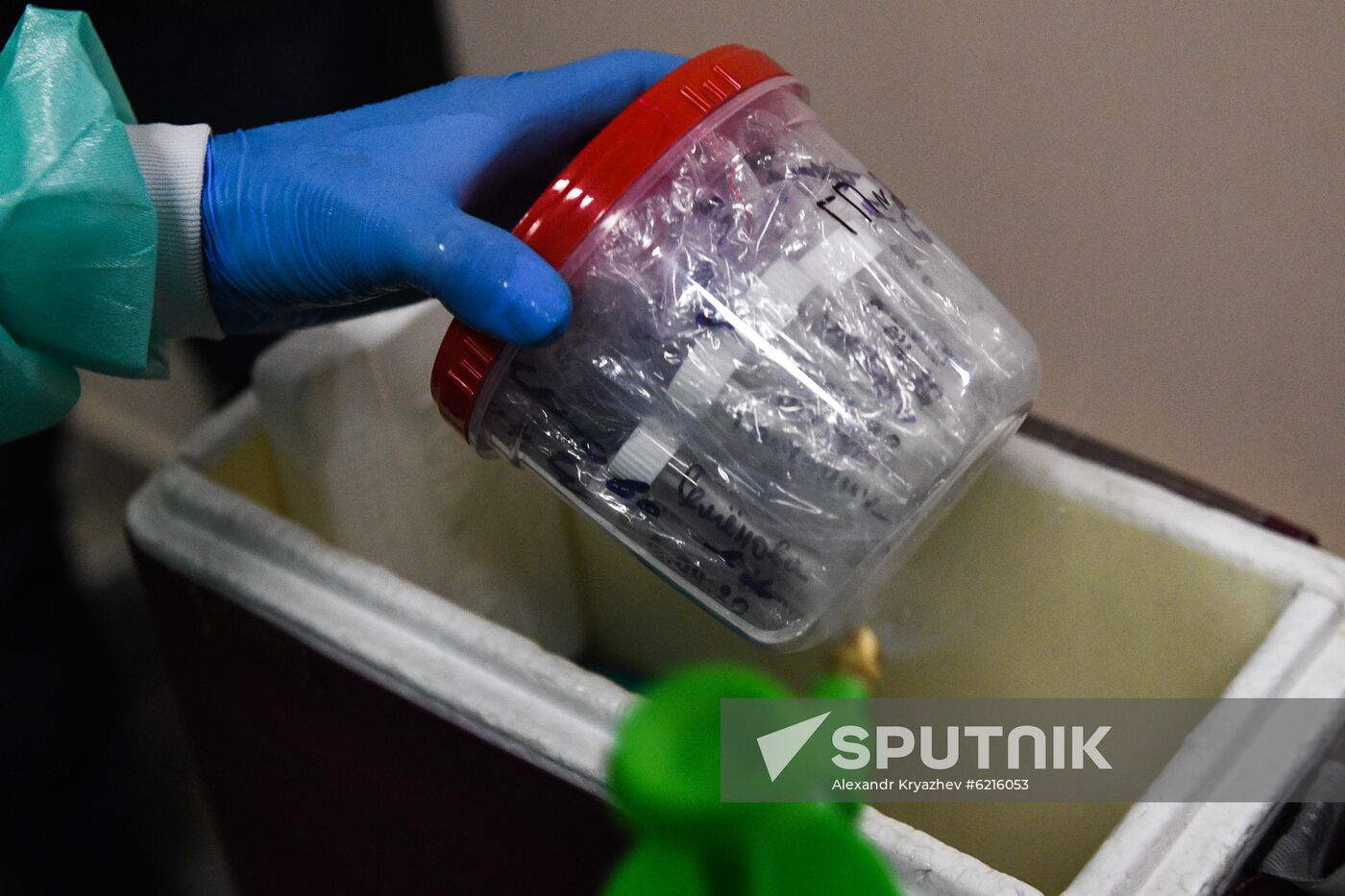 Russia Coronavirus Tests