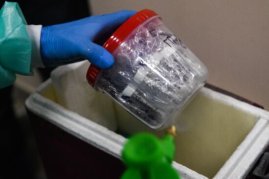 Russia Coronavirus Tests